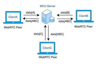 Webrtc 服务器网络模型
